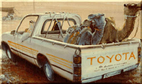 Camel on Toyota, Alrashid Cyber Mall Gallery