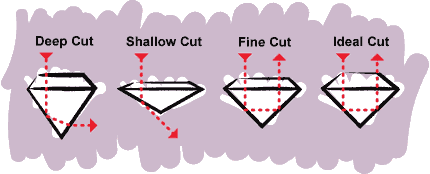 The Ideal Cut: A consumer's Guide